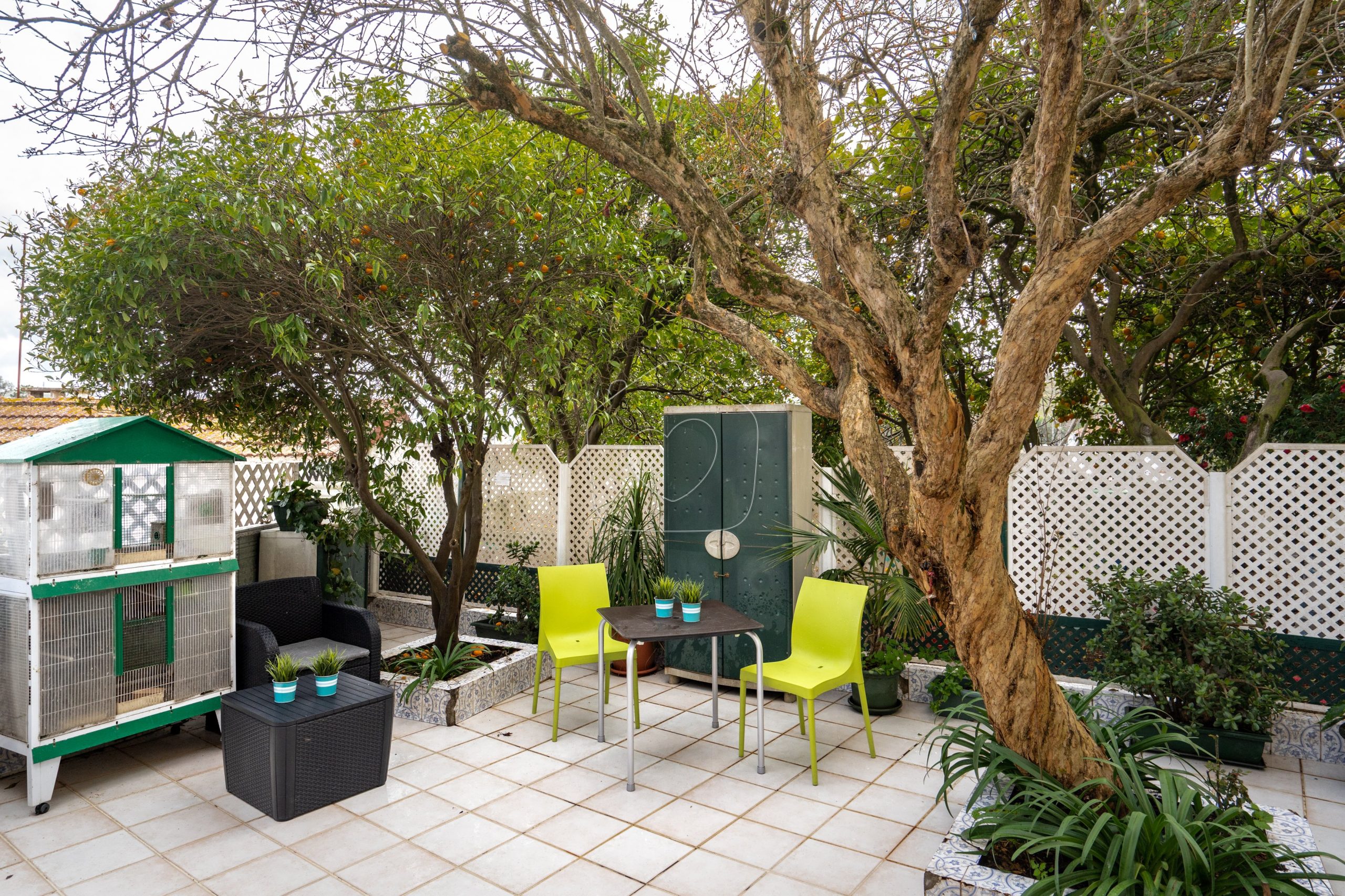 lar-o-bom-samaritano-19 lar-o-bom-samaritano-19